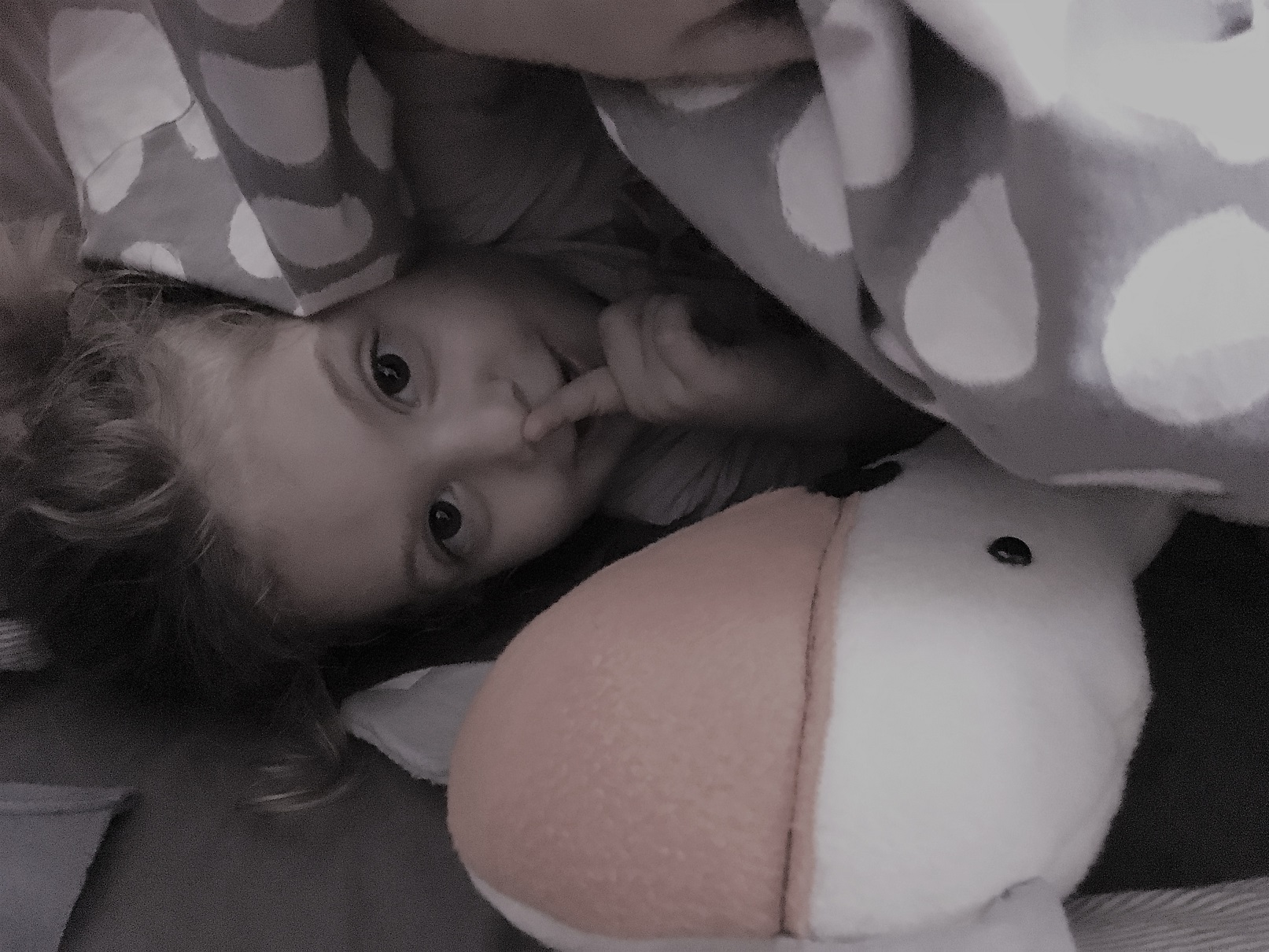 לשחק עם הילדים בבית או אוהל